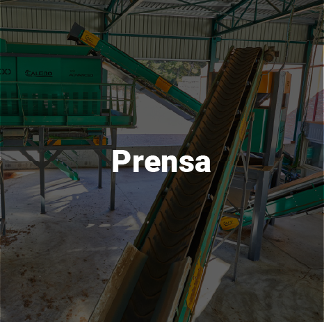 Prensa